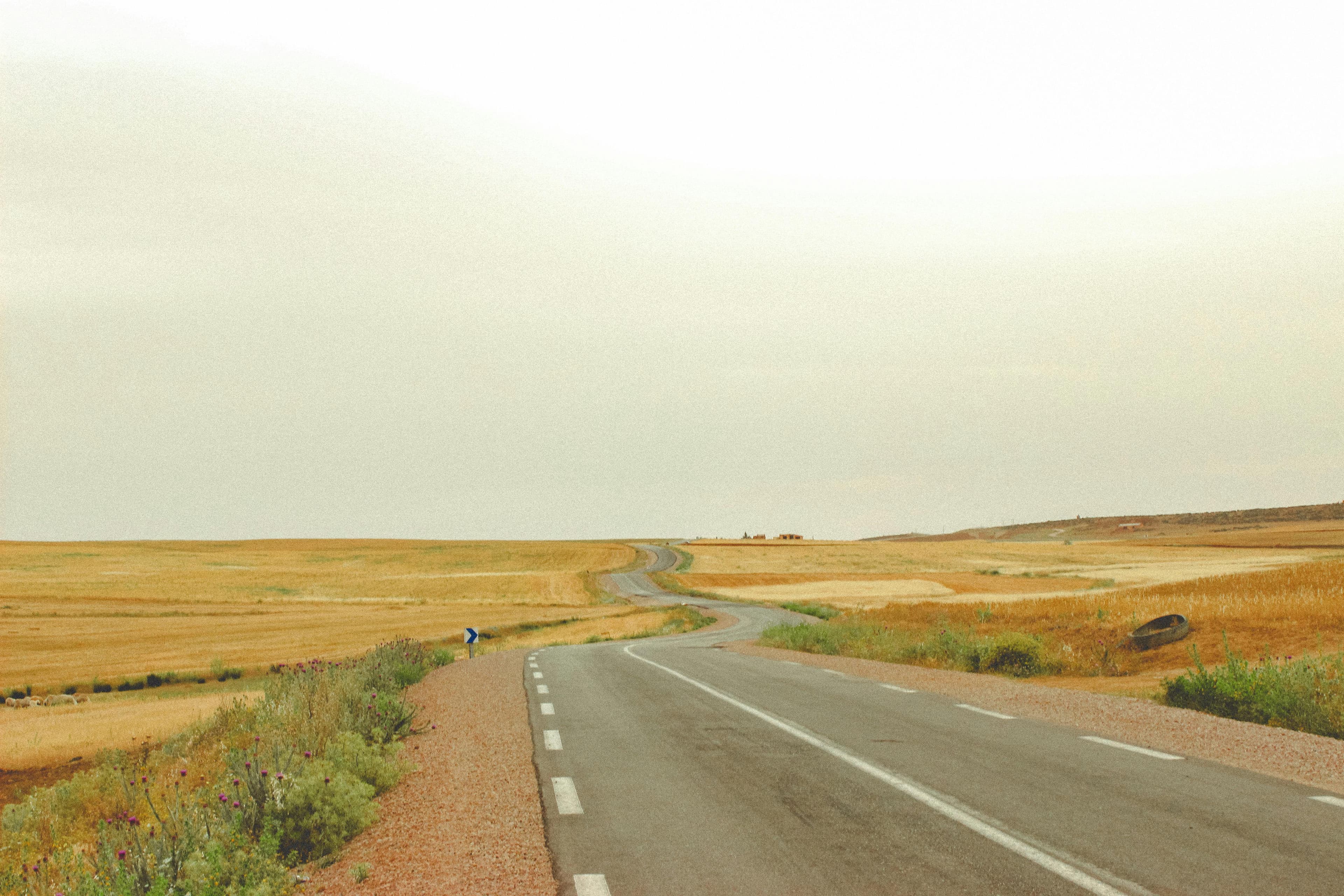 Acción Local, Impacto Global